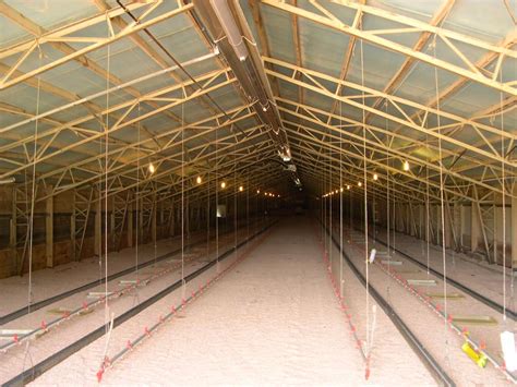 metal chicken house truss barn